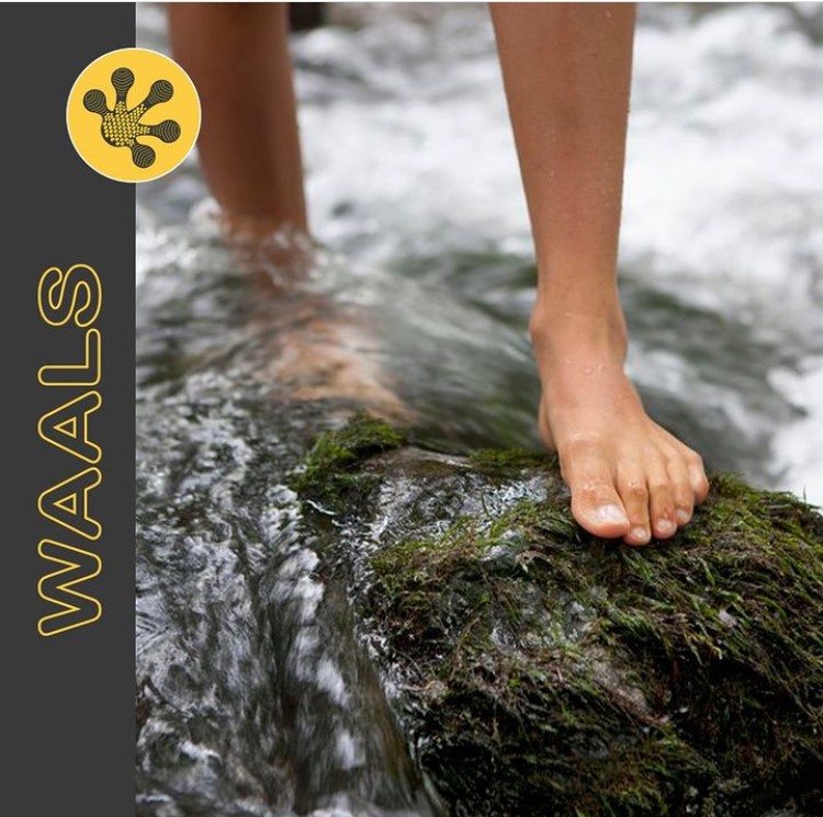 Waals Barefoot